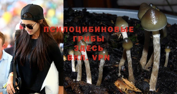 таблы Абинск